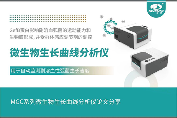 論文分享｜群體感應調(diào)控GefB蛋白抑制副溶血性弧菌運動及生物膜形成機制解析